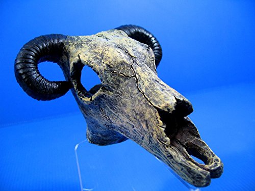 Goat SkullÂ cave 4.9"x4.5"x3.2" Aquarium Ornament Decor resin fish tank hide bone