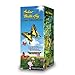Fascinations Solar Butterfly - Colors May Vary