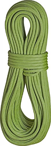 EDELRID Seil Heron Pro Dry 9,8 mm Kletterseil