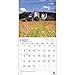 Enchanted Castles 2015 Wall Calendar
