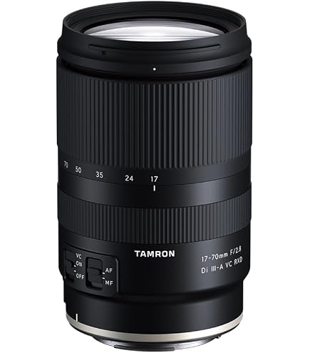 Amazon.com : Tamron 17-70mm f/2.8 Di III-A VC RXD Lens for Sony E