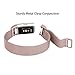 Fitbit Charge 2 Band, ALNBO Milanese Mesh Loop Stainless Steel Replacement Bracelet Strap with Strong Magnet Lock, Rose Gold