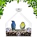 Grateful Gnome - Giant Window Bird Feeder - Clear Acrylic House for Small or Large Wild Bird Like Cardinals and Chickadees