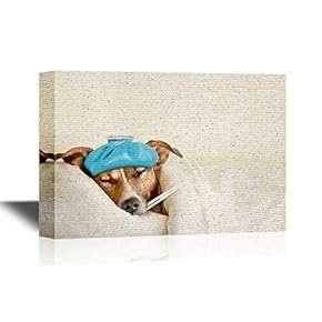 Vet Canvas Wall Art - Poor Sick Dog with Ice Bag - Gallery Wrap Modern Home Art | Ready to Hang - 12x18 inches