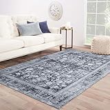 Domitapis Area Rug 8×10, Large Vintage Boho