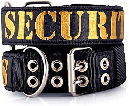 Security dog collars Clearance