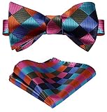 HISDERN Men's Plaid Jacquard Woven Self Bow Tie Set