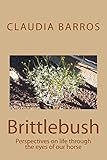 Brittlebush: Perspectives on life through the eyes of our horse by 