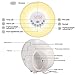 Wake-up Light, Sunrise Sunset Simulation Alarm Clock Night Emotion Touch Control Light, 6 Colors Atmosphere Lamp, 10 Brightness Bedside Lamp with 6 Natural Sounds , FM Radio and USB Charger