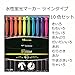 Tombow Kay Coat Double-Sided Fluorescent Highlighter Pen - 10 Color Set
