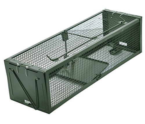 MATATA Live Animal Humane Trap 2-Door Mouse Cage Trap For Chipmunk, Rats, Squirrels, Voles, Rodent and Similar Size Pests(Green)