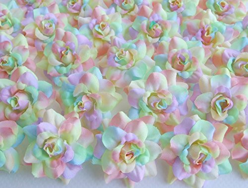 (50) Silk Rainbow Pastel Tones Roses Flower Head - 1.75" - Artificial Flowers Heads Fabric Floral Supplies Wholesale Lot for Wedding Flowers Accessories Make Bridal Hair Clips Headbands Dress