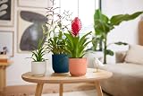 elho Vibes Fold Round 16 Flower Pot 100% Recycled Plastic White Ø16.1xH14.8 cm view 8