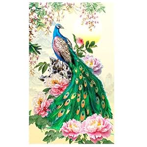 Amazon.com: Chinatera 5D DIY Diamond Painting Peacock Wall Stickers