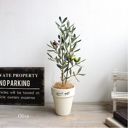 Amazon オリーブ 40cm 造花 フェイクグリーン 人工観葉植物 消臭 Ct触媒 人工観葉植物 オンライン通販