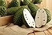3 Pack of GFruit - Guanabana Fruit / Graviola Pulp / Soursop 100% Natural & Healthy