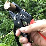gonicc 8" Professional Ratchet Anvil Pruning Shears (GPPS-1011), Ratcheting Mechanism, Anvil Groove Design, Reinforced Design Handle, Garden Shears Clippers, Anvil Pruner, Hand Tools Scissors