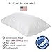 Deluxe Home Gel Fiber Pillow - Down Alternative Pillows with Cotton Cover - Ultra Plush with Hypoallergenic .9 Micro Denier Fill (Queen Size, Soft) Crafted in The USA (Dobby Stripe Cotton Cover)