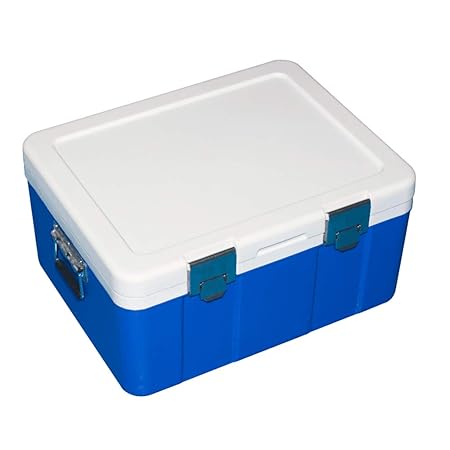 LHAO Mini Nevera 20L Enfriador eléctrico de Caja para Bebidas ...