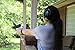 Sumsonic Safety Ear Muffs Shooters Hearing Protection with Folding Padded Head Band and Comfortable Ear Cups, Adjustable To Fit Any Sizes