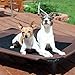 K&H PET PRODUCTS Original Dog Cot, Chocolate/Mesh, Large/30″ x 42″ x 7″thumb 2