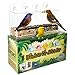 Superior Window Bird Feeder with Strong Suction Cups, 2 Way Mirror Film, Large Easy Clean Seed Tray, Outdoor Hanging Birdhouse for Wild Birds Like Cardinal & Bluebird. Great for Seniors & Indoor Cats