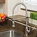 Pacific Bay Rainier Pull-Down Kitchen Sink Faucet (Brushed Satin Nickel)