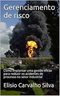 Livro Gerenciamento de risco: Como implantar uma gestão eficaz para reduzir os acidentes de processo no setor industrial