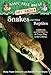 Snakes and Other Reptiles: A Nonfiction Companion to Magic Tree House Merlin Mission #17: A Crazy Day with Cobras