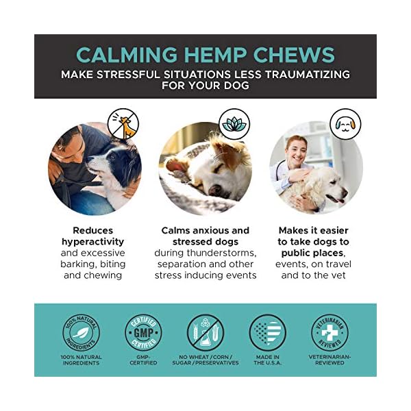 pethonesty hemp calming