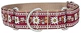 Country Brook Design 1 1/2 Red Queen of The Alps Woven Ribbon Martingale Collar - Medium