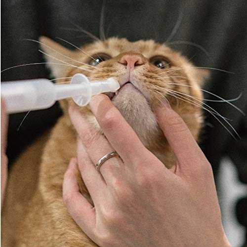 Pidan Pet Medicine Syringe for Cats Pet Piller Medicine Dropper Feeding Device Optimal Material Leakproof Ring Pistons Removable Parts Additional 3 Medicator Heads