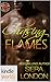 Dallas Fire & Rescue: Chasing Flames (Kindle Worlds Novella) (Fiery Fairy Tales Book 1)
