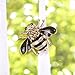 HuntGold 1 PC New Fashion Women Delicate Little bee Crystal & Rhinestone Pin Brooch Black