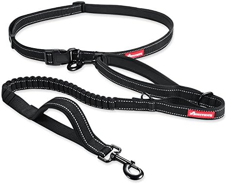 Hands Free Dog Leash - Extendible Shock Absorbing Bungee with Two Rubber Handles Padded Traffic Handle For Extra Control, Adjustable Neoprene Waist Belt Up to 42" (4ft)
