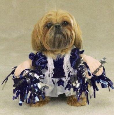Zack & Zoey - Halloween Cheerleader Dog Costume - Size: Extra Large