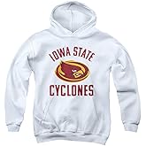 Iowa State University Official Cyclones Logo Youth Kids Boy/Girls Pull-Over Hoodie Sweatshirt