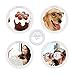 Atill Selfie Ring Light, 36 Highlight LED Rechargeable Selfie Ring Flash Fill Light Camera Photography for iPhone 7/6S/6/SE/7 PLus/iPad/Samsung and Other SmartPhones