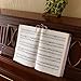 NKTM Set of 2 Music Book Clip or Page Holder
