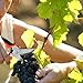 RIOGOO 3 Pack Gardening Shears Hand Pruner Pruning Shears Stainless Steel Bypass Garden Clippers