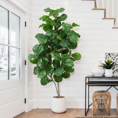 Keeplush Artificial Fiddle Leaf Fig Tree 6ft Faux Fiddle Leaf Fig Tree with White Tall Pot