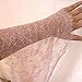 ALE14 Lace Fabric Eyelash Chantilly Floral Bridal/Wedding Dress Flower Table Cloth DIY Crafts Scallop Trim Applique Curtain 300cm x 23cm (Baby Pink)