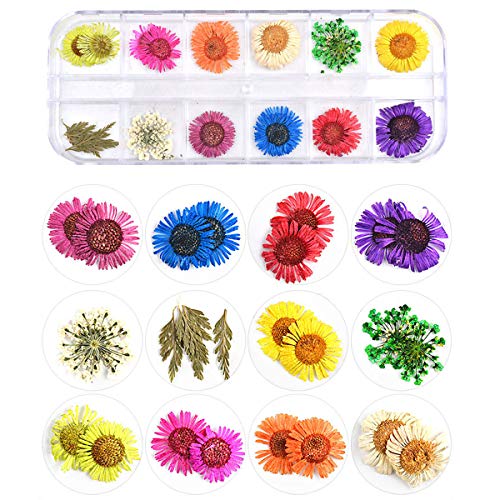 editTime 36 Colors Nail Dried Flowers 3D Nail Art Sticker, Flower Beauty Nail Stickers for Manicure, Natural Real Dry Flower Kit with a Curved Tweezers and a Nail Brush(4) - Thumbnail 4