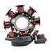 RMSTATOR Replacement for Stator Polaris Grizzly 90 / Sportsman 90 2007-2016 / Predator 50 2007 / Outlaw 50 90 2007-2020 | OEM Repl.# 0453559/0454949