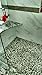 Stone Grey Mosaic Tile 1 sq.ft. (Mesh Mounted)