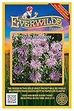 Everwilde Farms - 2000 Wild Bergamot Native