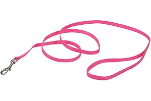 Coastal Pet Single-Ply Dog Leash - Sturdy Pet Leash - Comfortable & Stylish - Resists Fraying - Vibrant & Fade-Resistant Color - Neon Pink, 3/8" x 6'