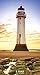 2017-2018 Lighthouses 2 Year Pocket Calendar by 