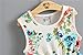 Niyage Little Girls Sleeveless Floral Princess Dress Tulle Tutu Sundress 5 Green