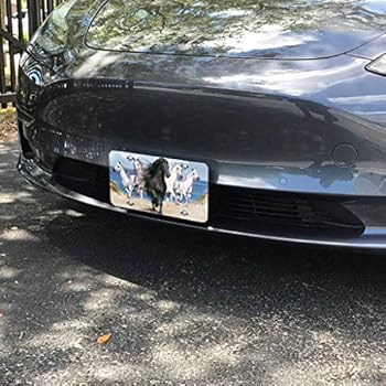 Beabes Wild Running Horse Front License Plate Cover Headwind Horse Run Fast In The Dust Sea Ocean Landscape Decorative License Plates For Car Novelty Auto Car Tag Vanity Plates For Men Women 6x12inch Buy